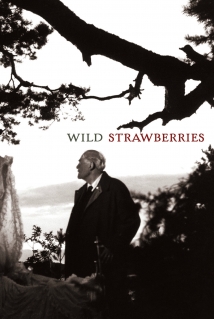 Wild Strawberries