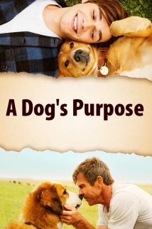 A Dog's Purpose