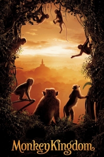 Monkey Kingdom