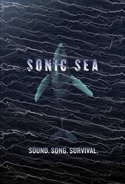 Sonic Sea