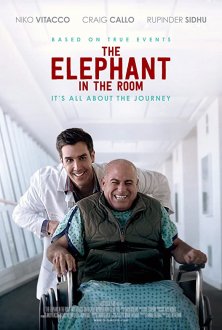 The Elephant in the Room